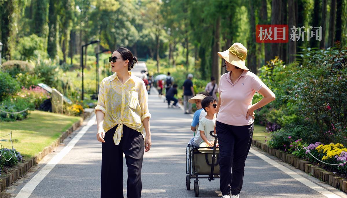 gm平台注册